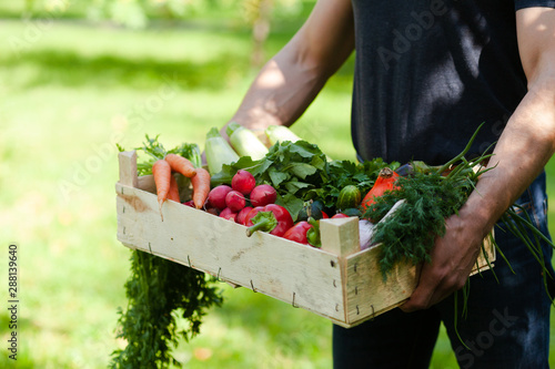 Strong farmer man in dark clothes is holding in his hands wooden case with ripe autumn vegetables. Carrot with tops, pink radish, red pepper, squash, cucumber, onion. Green background, Russia, Moscow