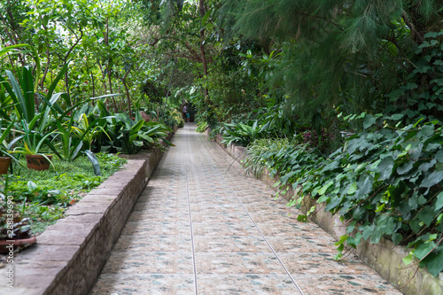 stone path in the decorative greenhouse. tropical orangery