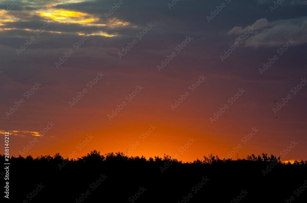red sunset over the forest
