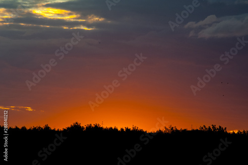 red sunset over the forest © Sergey Samoletov