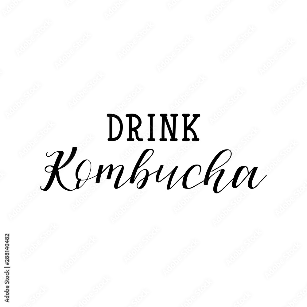 Drink kombucha. Vector illustration. Lettering. Ink illustration. Kombucha healthy fermented probiotic tea.