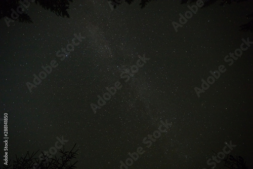 Night sky stars, milky way. Tree silhouette
