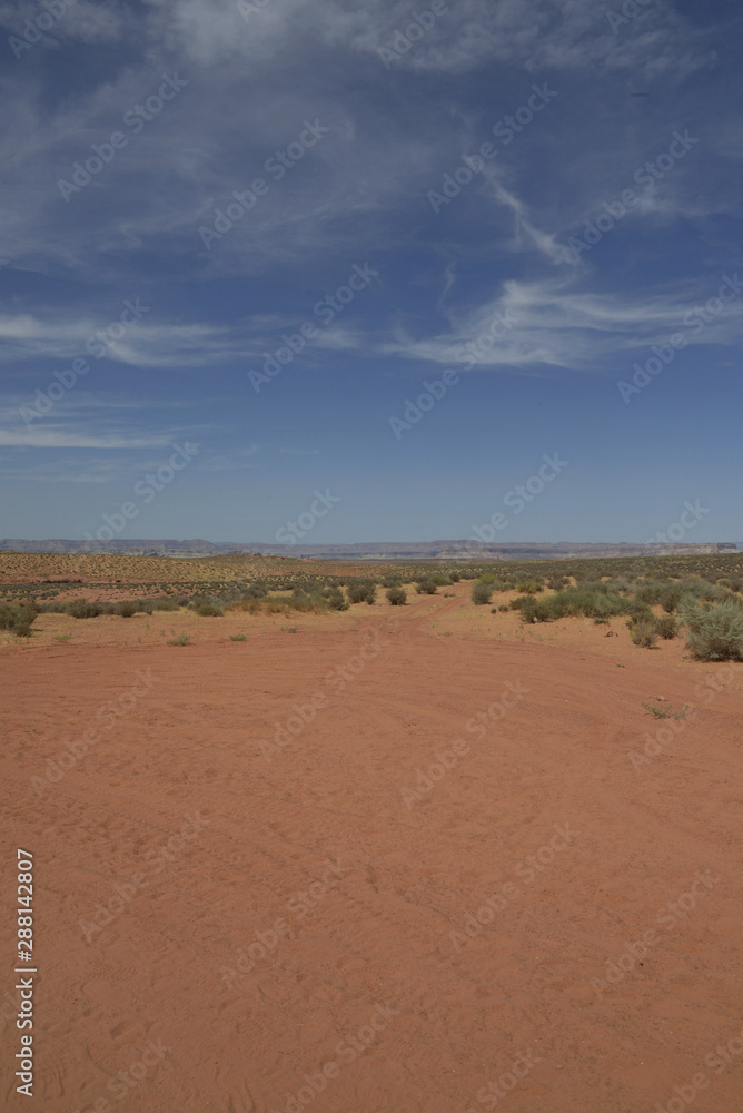 Walking in the desert in arizona