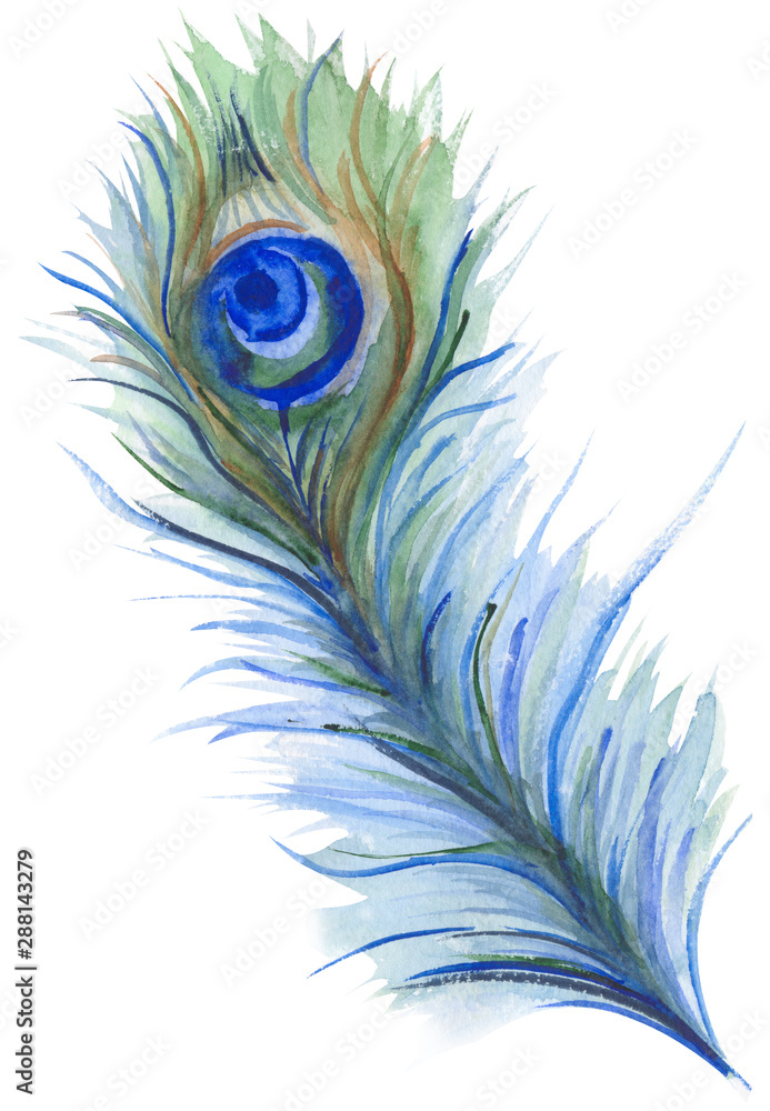 Obraz premium Watercolor illustration of a bright and shiny peacock feather in green and blue colours. Isolated on a white background