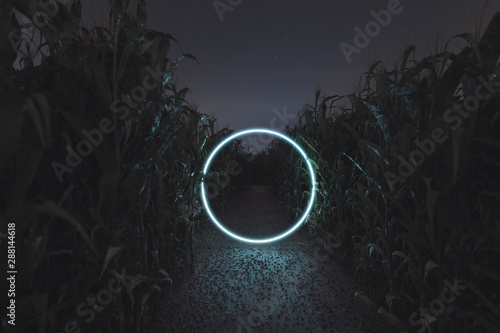 Quadro em tela 3d rendering of lighten circle portal in the middle of cornfield at night