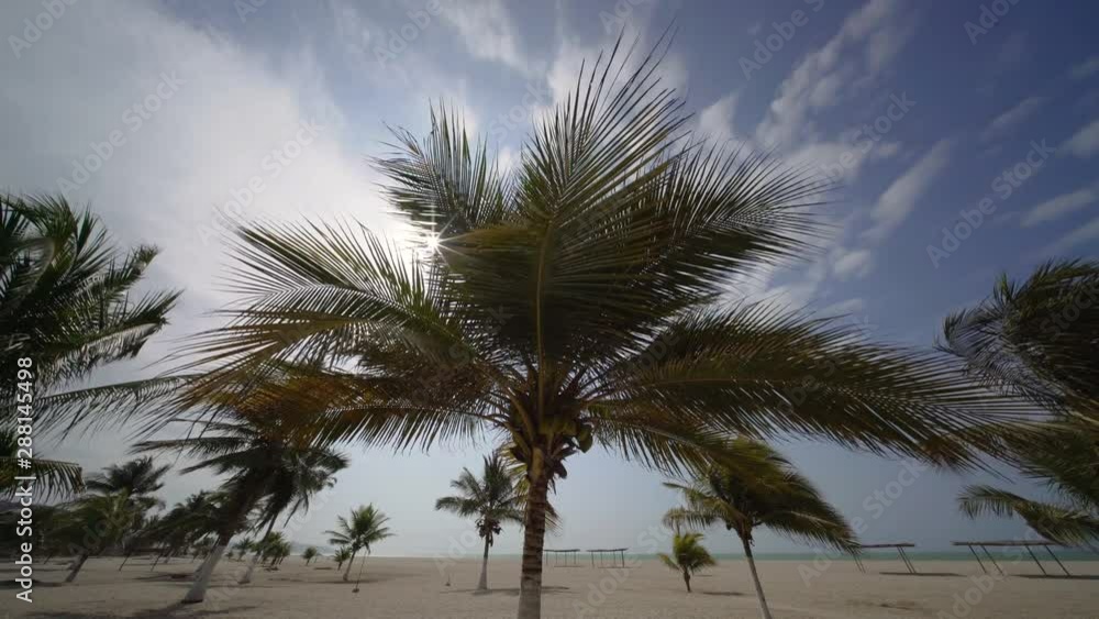 Beach and palm trees at the Pacific Ocean in South America, Peru Beach and palm trees at the Pacific Ocean in South America, Peru