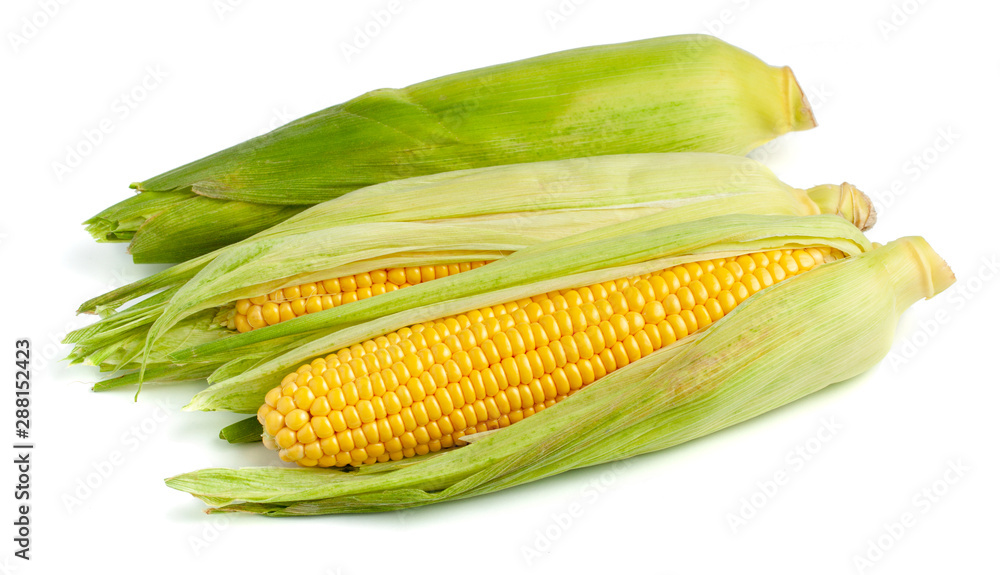 Corn in the leaves isolated on white background. Corn in the leaves isolated on white background.