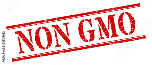 non gmo stamp. non gmo square grunge sign. non gmo