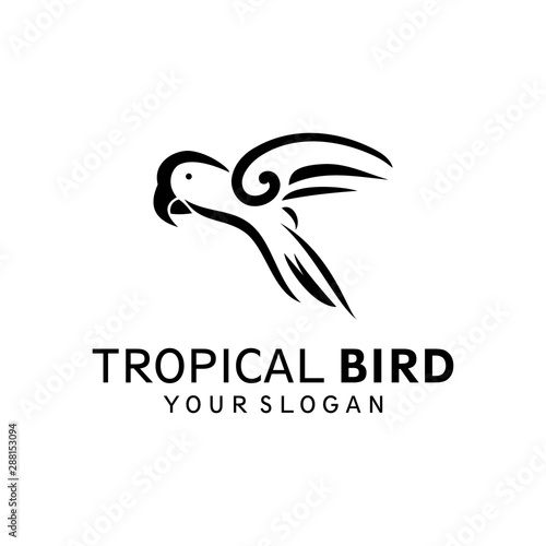 abstract parrot icon logo template