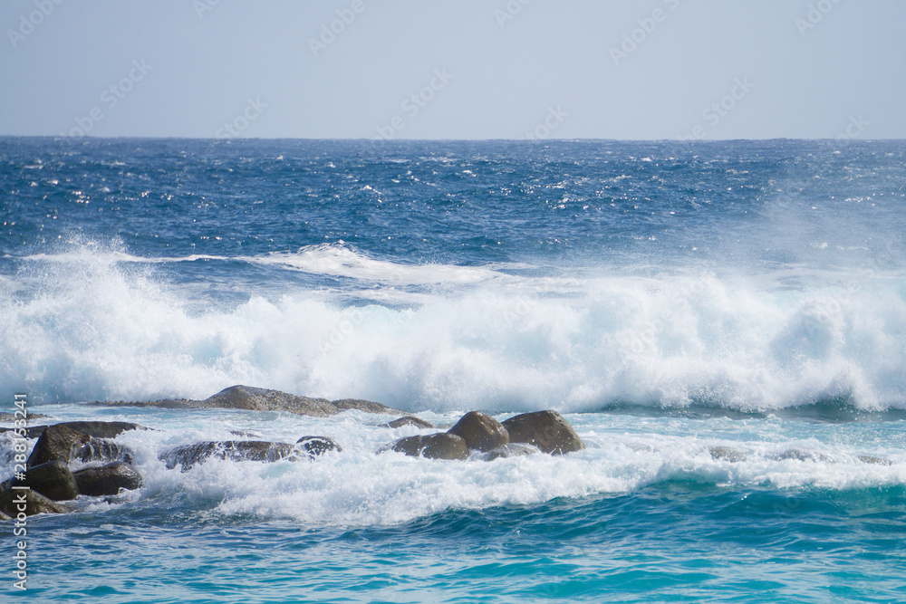 波浪注意報が出された太平洋の海