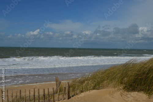 Vagues en bord de mer