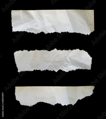 Wallpaper Mural pieces of torn paper texture background, copy space. Torontodigital.ca