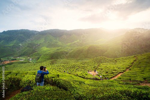 Canvas Print Young asian photographer traveling into tea fields with mist