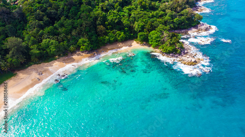 Tropical forest on sea island beach