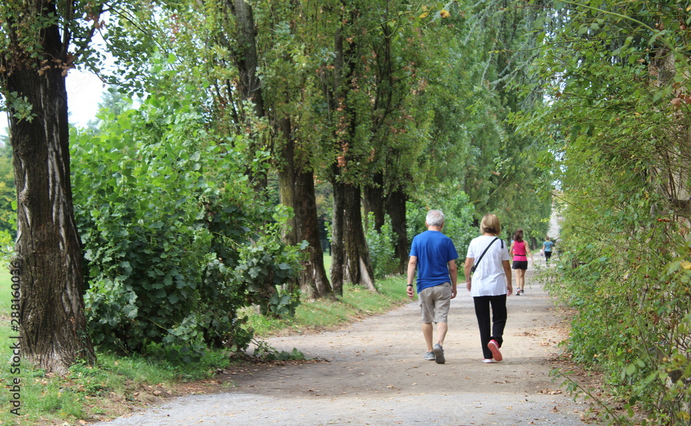 Camminare serenamente nel parco in estate - relax