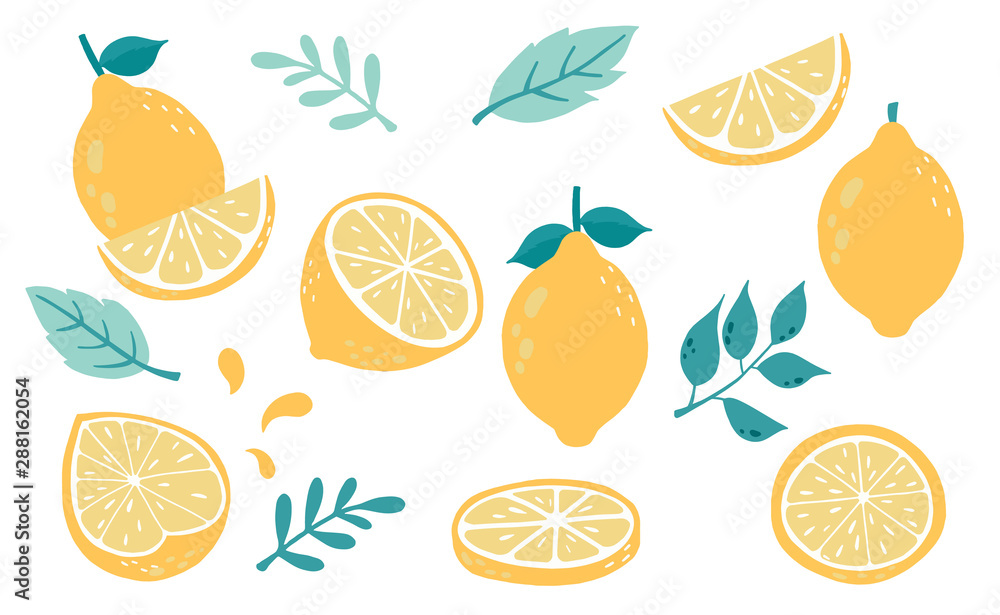 Vecteur Stock Cute lemon,citrus object collection.Whole, cut in half,  sliced on pieces lemons. Vector illustration for icon,logo,sticker,printable  | Adobe Stock