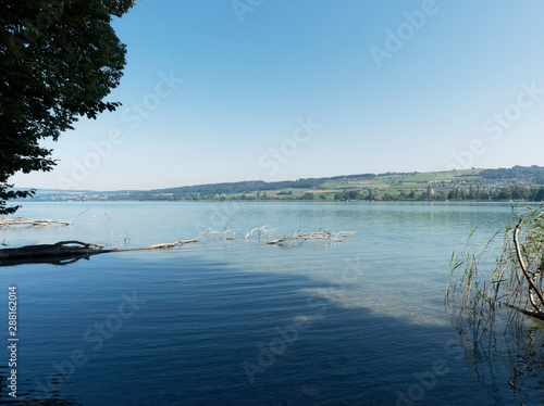 Schweizer Seenlandschaft - Seeblick Hallwilersee - Beinwil am see photo
