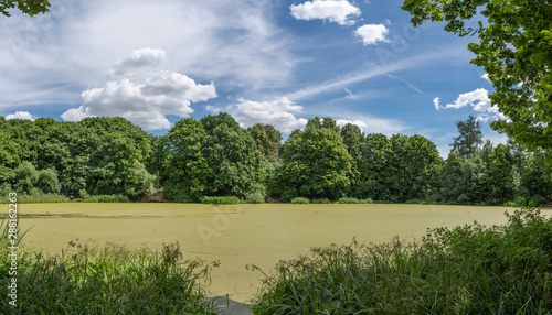 Swampy pond © Roman