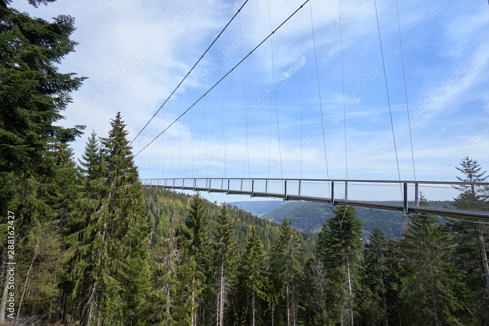 Obraz premium Beautiful landscape with a hanging iron bridge over a coniferous forest in Germany, Schwarzwald