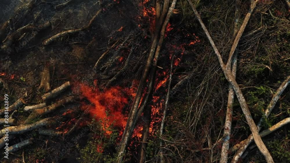 Small fires persist after a major forest fire in the Amazon Rainforest. Top view, boom up aerial shot. Small fires persist after a major forest fire in the Amazon Rainforest. Top view, boom up aerial shot.