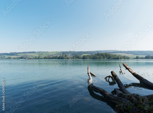 Schweizer Seenlandschaft - Rund um den Hallwilersee - Kanton Aargau - Beinwil am see. Seeuferweg und seeblick photo