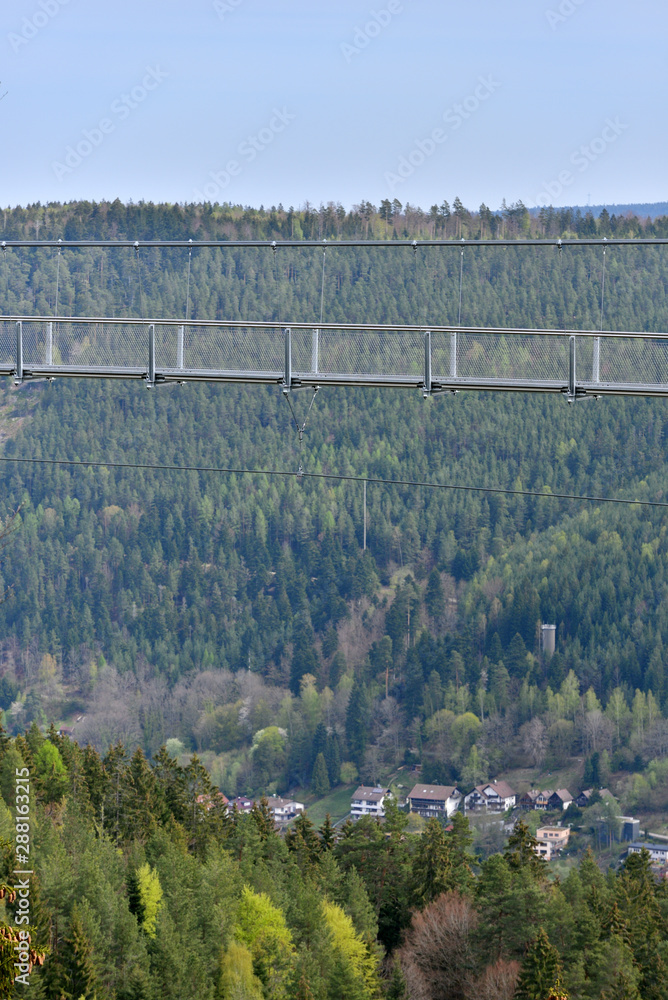 Beautiful landscape with a hanging iron bridge over a coniferous forest in Germany, Schwarzwald Beautiful landscape with a hanging iron bridge over a coniferous forest in Germany, Schwarzwald