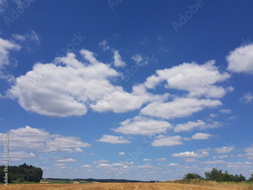 Fototapeta Naklejka Na Ścianę i Meble -  Field with Clouds