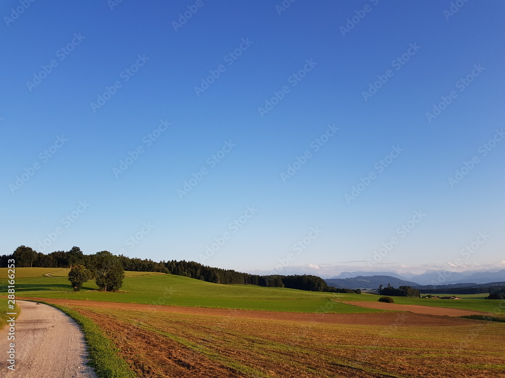 Lane with blue sky