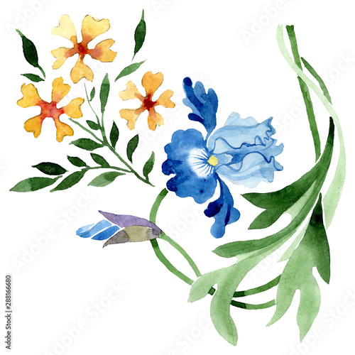 Fototapeta Naklejka Na Ścianę i Meble -  Ornament floral botanical flowers. Watercolor background illustration set. Isolated flower illustration element.