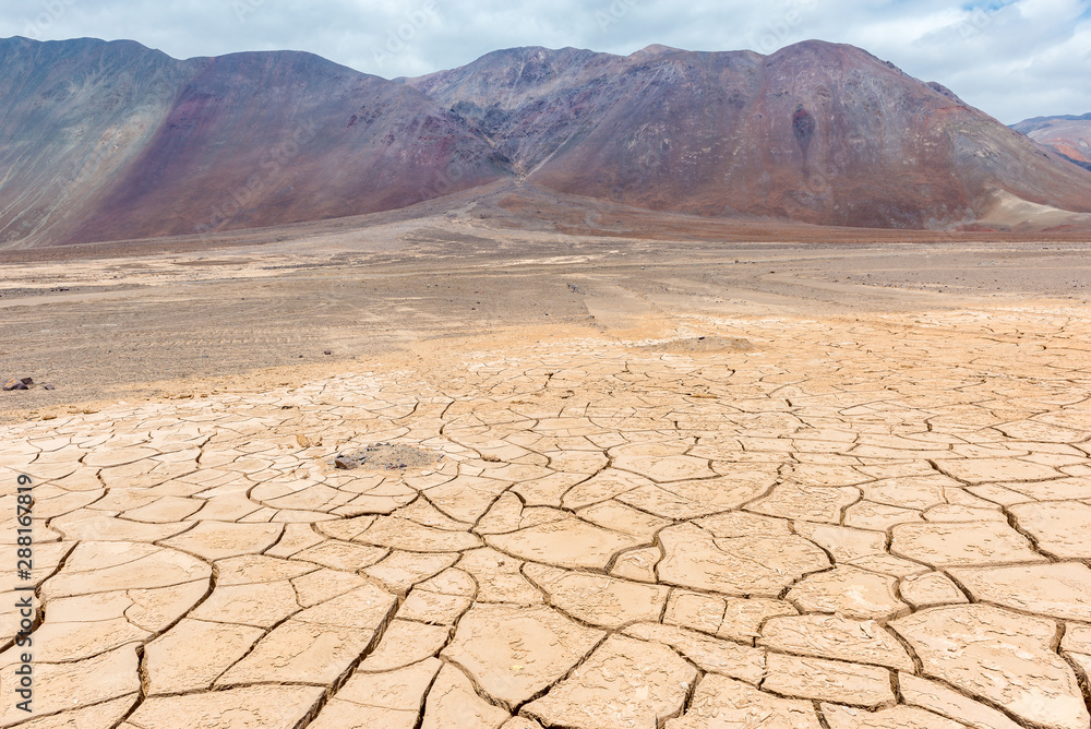 Dry cracked earth, Atacama, Chile