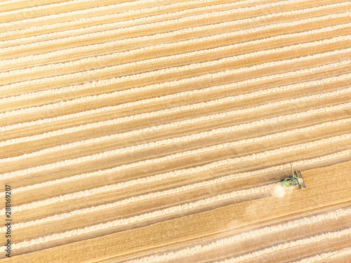 Combine harvester in wheat ...