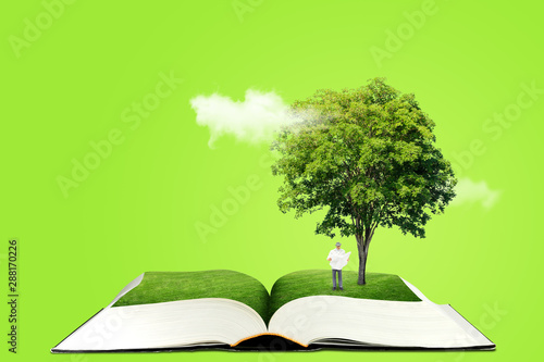 Ecology and Education Concept : Miniature figure character as people standing below green tree on opened book and reading a book.
