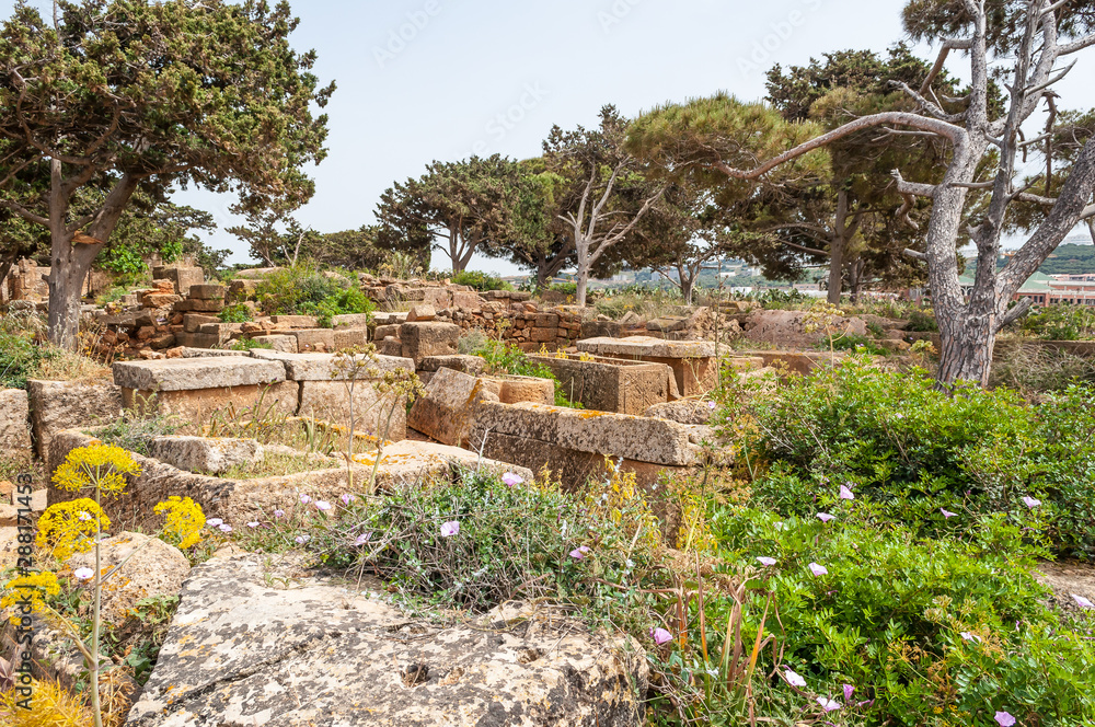 Ancient Roman ruins in Tipasa (Tipaza)