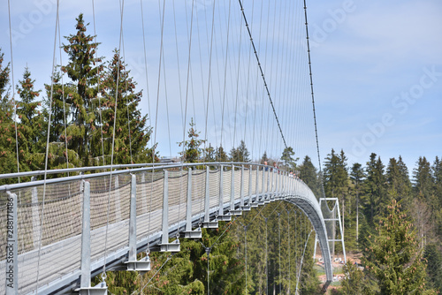 A long and narrow suspension iron bridge for pedestrian tourists in the coniferous European forest. © pridannikov