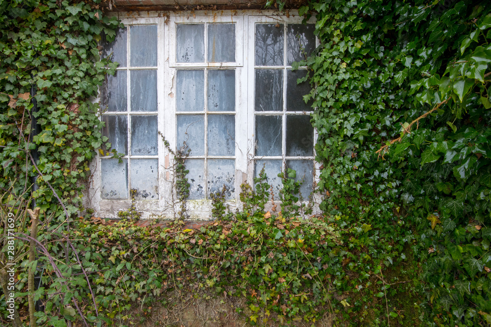 Abandon house Abandon house