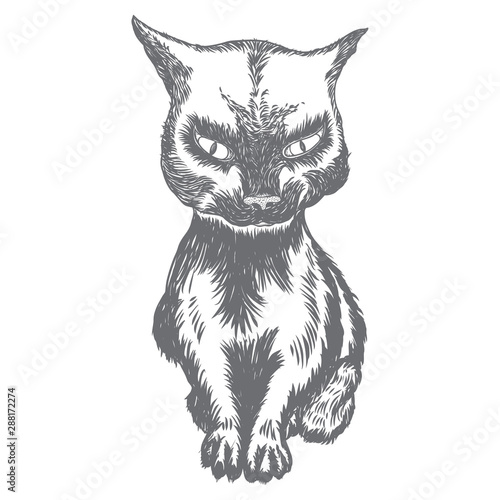 Black cat seating portrait. Halloween background. Witchcraft magic, occult attribute decorative element. Vector.