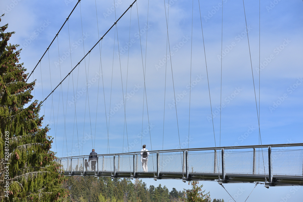 Naklejka premium Tourists walk along a long and suspended iron cable bridge for pedestrians in the coniferous European forest.