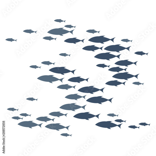 Colored silhouettes of groups of sea fishes. Colony of small fish. Icon with river taxers. Logo fish.