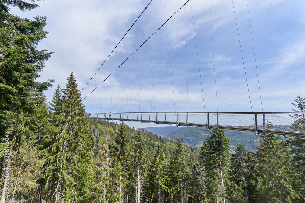 Obraz premium Beautiful landscape with a hanging iron bridge over a coniferous forest in Germany, Schwarzwald