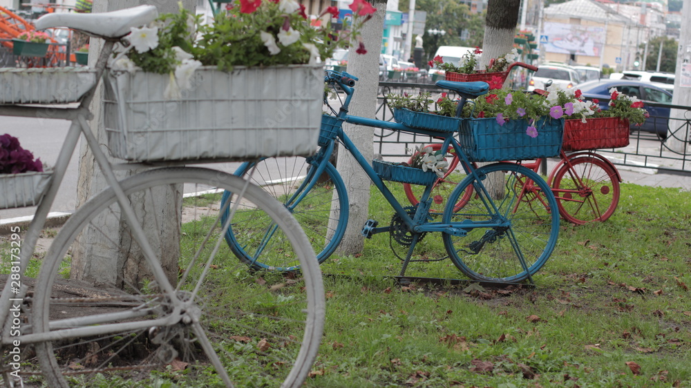  close-up of white, blue and red bicycles, decoratively decorated in an urban environment