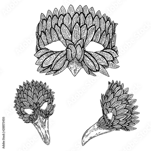 Set of Venetian carnival bird face mask for party decoration or masquerade , hand drawing. Vector.
