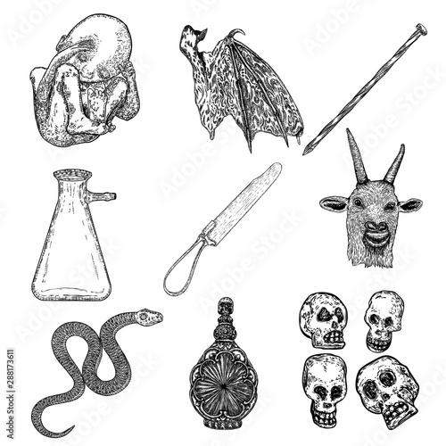 Alchemy symbol elements set. Spirituality, occultism and chemistry, magic tattoo sketch. Human skulls, ear, vampire bat wing, surgical tool, snake, bottle with potion, human embryo hand drawing vector