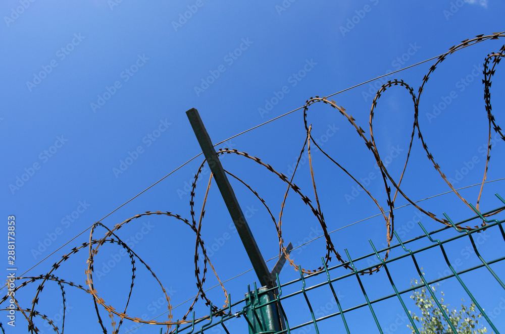 Coils of sharp razor wire on a metal fence with a crossbar closeup Coils of sharp razor wire on a metal fence with a crossbar closeup