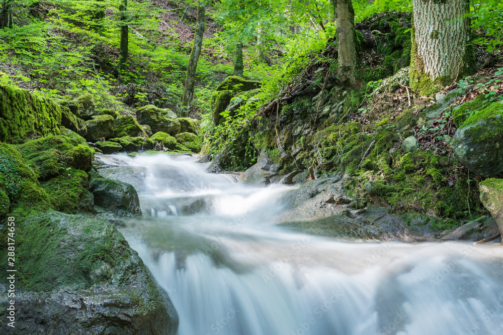 Fototapeta premium Idylle in der natur 
