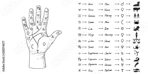 Fortune teller hand with Palmistry diagram and zodiac constellations. Magic alchemy spirituality symbol. Hand drawn sketchy palm reading with mystic and occult hand drawn esoteric symbols. Vector.