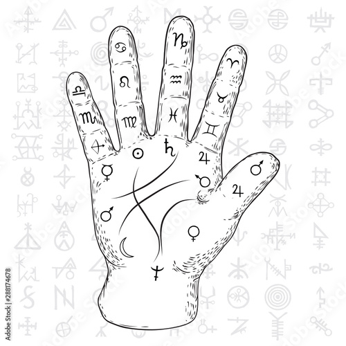 Fortune teller hand with Palmistry diagram hand drawn design. Vintage illustration for tattoo template. Palm reading magic spirituality zodiac constellations on sacred symbols background. Vector.