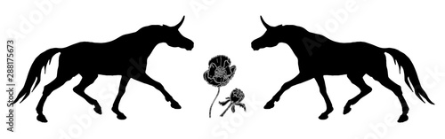 isolated image of the figure, the black silhouettes of two running unicorns on a white background and poppy flowers