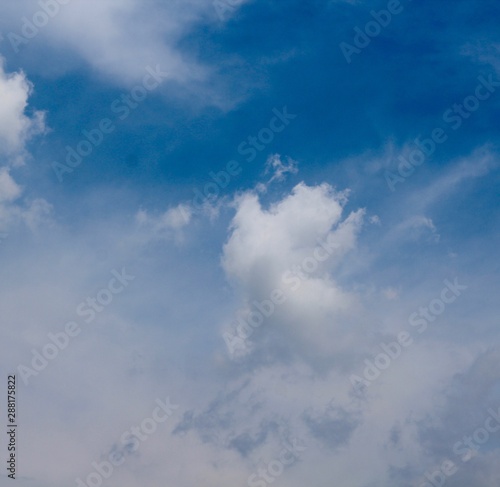 The white clouds in the blue sky background.