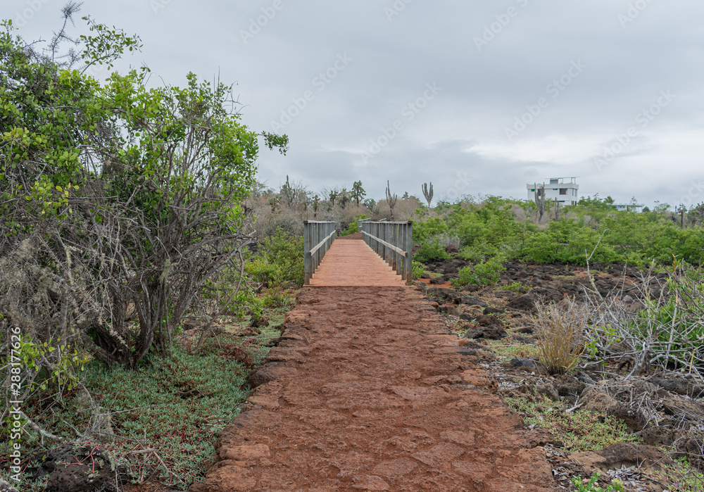 Fototapeta premium Las Grietas Galapagos