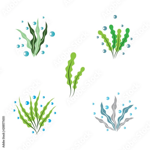 Seaweed logo template vector icon